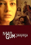 Naam Gum Jaayega poster image