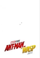 Ant-Man and The Wasp poster image