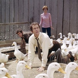 $1,000,000 Duck (1971) photo 9