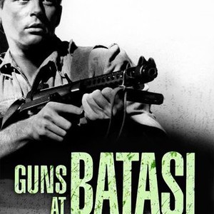 Guns at Batasi photo 6