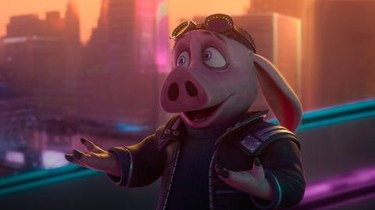HITPIG! | Rotten Tomatoes
