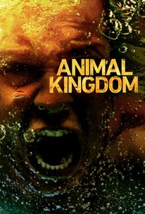 Animal Kingdom S3 (2018) Subtitle Indonesia