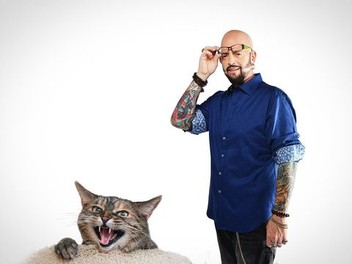 My Cat From Hell Cat Facts Season 1 Episode 2 Rotten Tomatoes
