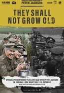 They Shall Not Grow Old poster image