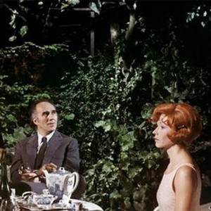Ten Days' Wonder (1972) photo 8