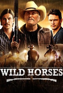 Poster for Wild Horses