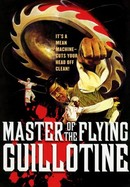 Master of the Flying Guillotine poster image