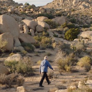 Where Is Rocky II? (2016) photo 2