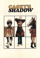 Casey's Shadow poster image