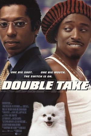 Double Take poster