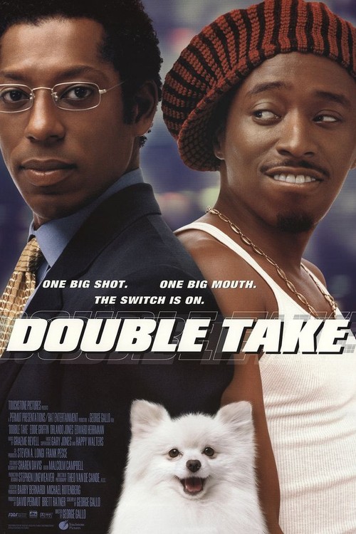 Double Take poster