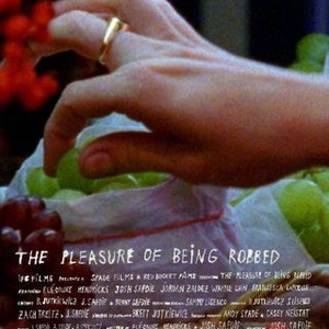 The Pleasure of Being Robbed (2008) photo 16