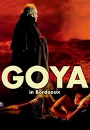 Goya in Bordeaux poster image