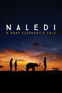 Naledi: A Baby Elephant's Tale - Rotten Tomatoes