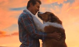 A Dog's Journey: Official Clip - All Dogs Go to Heaven photo 2