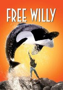 Free Willy poster image