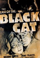 The Case of the Black Cat poster image
