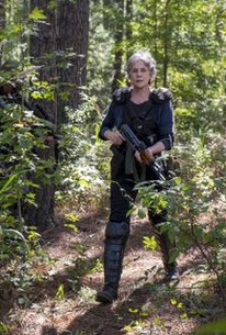 The Walking Dead Season 8 Episode 14 Rotten Tomatoes