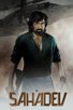 Poster for 