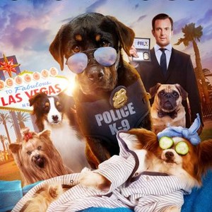 Show Dogs photo 6