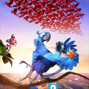 Rio 2 Pictures Rotten Tomatoes