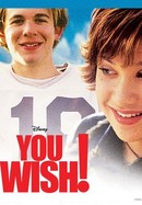 You Wish! poster image