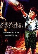 The Miracle of Marcelino poster image