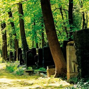 In Heaven Underground: The Weissensee Jewish Cemetery photo 4