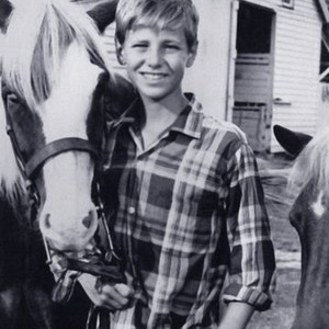 Misty (1961) photo 2