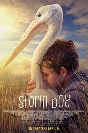 Storm Boy poster