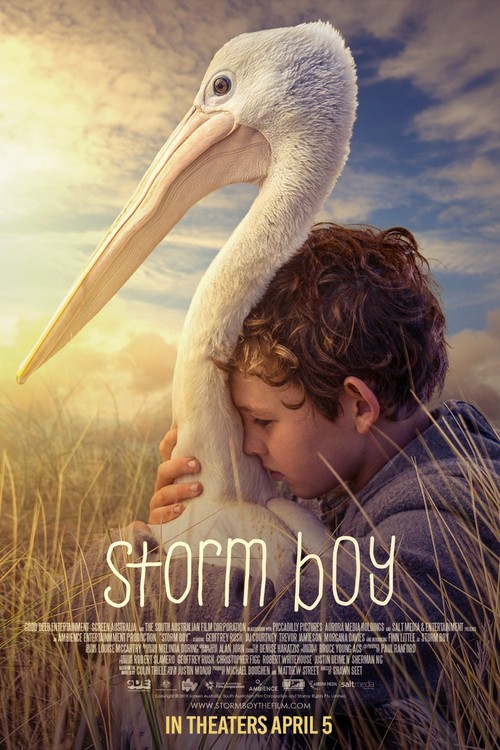 Storm Boy poster
