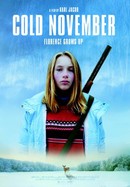 Cold November poster image