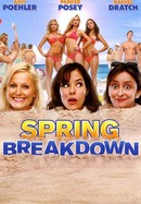 Spring Breakdown poster image