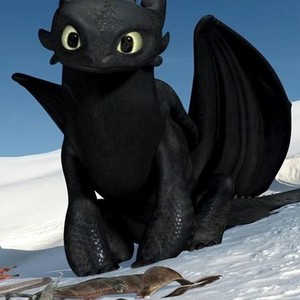 Dreamworks How to Train Your Dragon Legends (2010) photo 6
