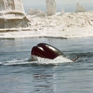 Orca (1977) photo 2