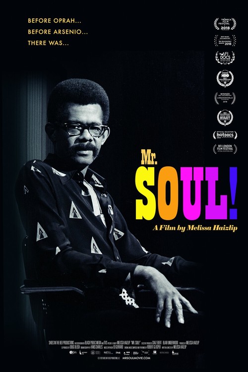 Mr. Soul! poster