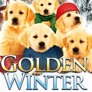 Golden Winter - Rotten Tomatoes