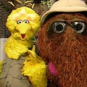 Sesame Street: Season 31, Episode 29 - Rotten Tomatoes