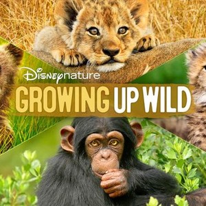 Growing Up Wild photo 5