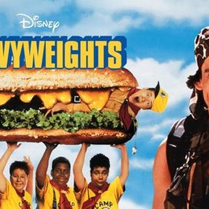 Heavy Weights' Came Out 20 Years Ago Today — See the Cast Then and Now! -  In Touch Weekly