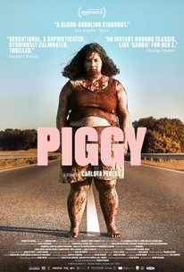 Piggy deals