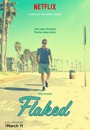 Flaked poster image