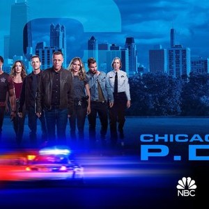 Chicago PD Season 2 Episode 15 Review: What Do You Do - TV Fanatic