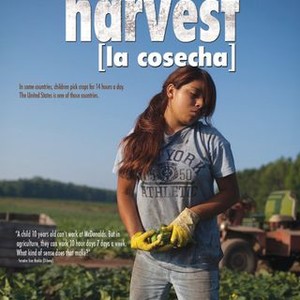 The Harvest (2011) photo 20