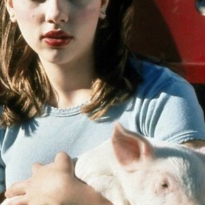 My Brother The Pig (2000) photo 8