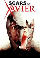Scars of Xavier poster image