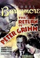 The Return of Peter Grimm poster image