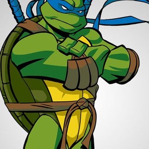 Leonardo is voiced by Michael Sinterniklaas