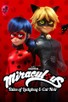 Poster for 