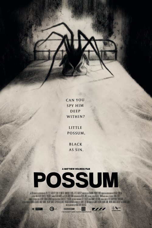 Possum poster